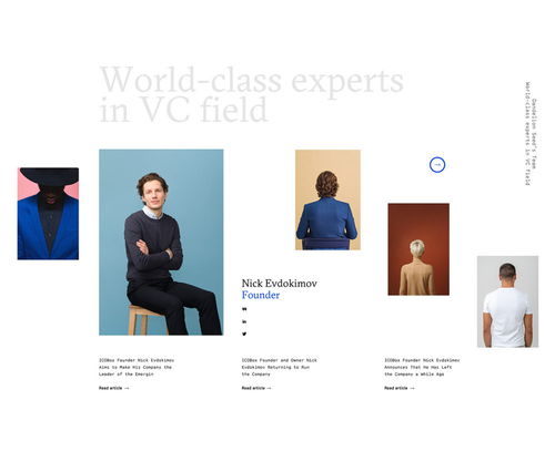 平面設(shè)計(jì) dandelion seed 咨詢公司品牌形象設(shè)計(jì)