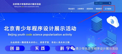 2022年北京青少年程序設(shè)計展示活動結(jié)果查詢 12.4