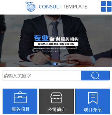 咨詢策劃網站案例